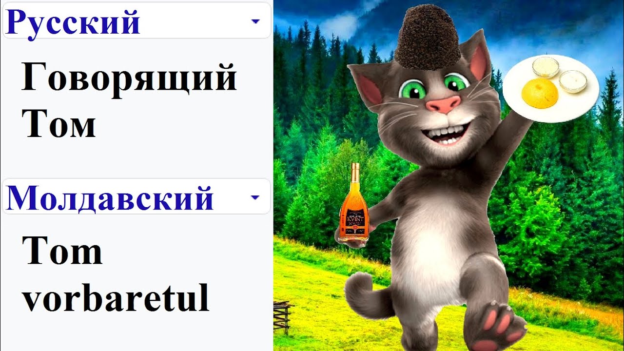 Говорящий том мемы