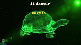 11  dastur   aylanma, turtle Python dasturlash tili