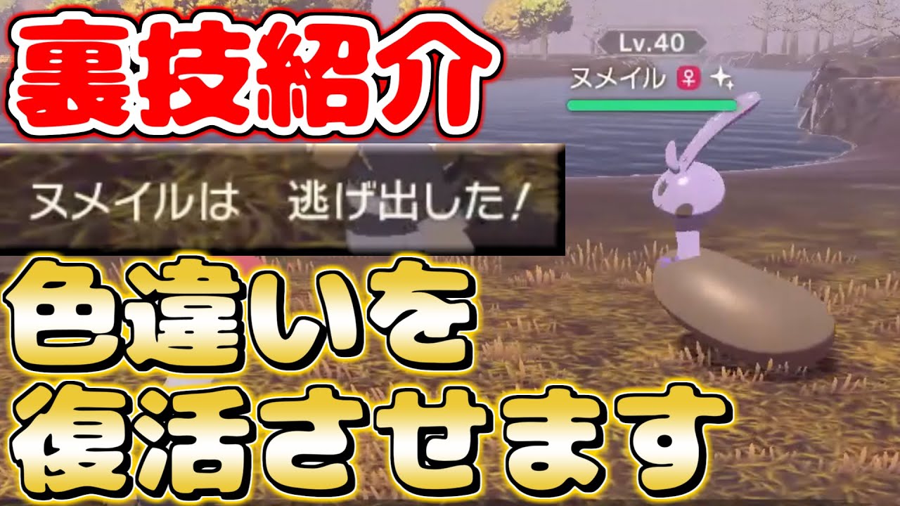 消えた大量発生を復活させる裏技教えます 色違い厳選 Pokemon Legends レジェンズ アルセウス Youtube