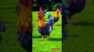 She Ka Aksedent Cartoon