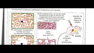 page 110 svt 3ac cahier des sciences azzedine alami  immunologie