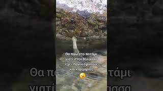Νεόφιδο στο ποτάμι