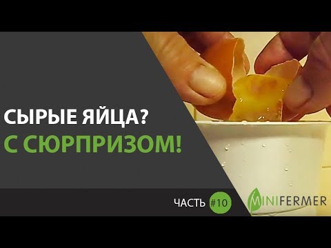 ПОСЛЕ ЭТОГО, Я БОЛЬШЕ НЕ ПЬЮ СЫРЫЕ ЯЙЦА (Часть 10) \\ Яйца с сюрпризом: что внутри сырых яиц?!