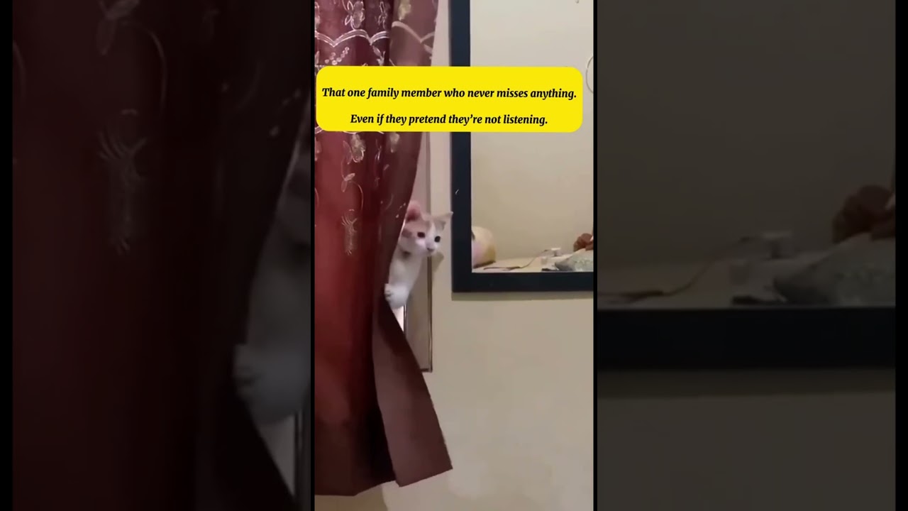 Lowkey Listening, Highkey Judging 😼🕵️‍♂️