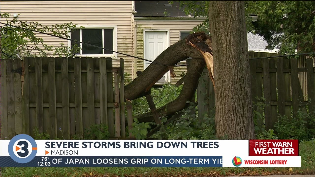 Severe storms bring down trees, cause damage in Madison - YouTube