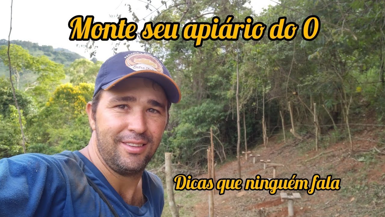 O QUE VOCÊ PRECISA SABER PARA MONTAR O SEU APIÁRIO, PRINCIPALMENTE INICIANTES