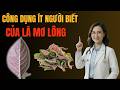 Lá Mơ Lông – Bí Quyết Dân Gian Từ Mảnh Vườn Quê