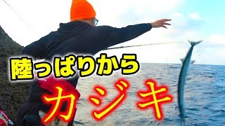 離島で夢の