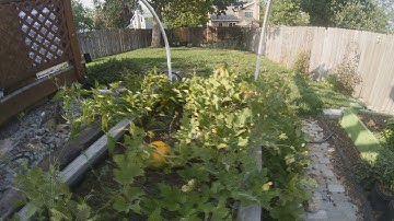 First test /w Dyno Slider (timelapse)