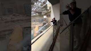 IMG 0676