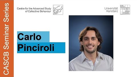 Carlo Pinciroli - Three Lessons on Heterogeneity in Robot Swarms