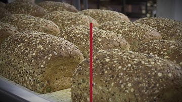 BakeWATCH M.O.L.E. for Serious Control