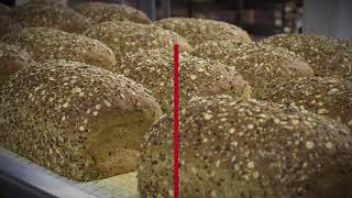 BakeWATCH M.O.L.E. for Serious Control