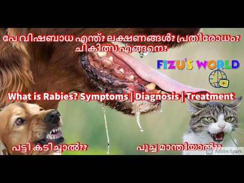 What is Rabies? Symptoms | Diagnosis | Treatment|പേ വിഷബാധ? ലക്ഷണങ്ങള്‍? പ്രതിരോധം? ചികിത്സ എങ്ങനെ?