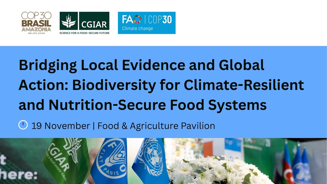 Bridging Local Evidence and Global Action: Biodiversity for Climate ...