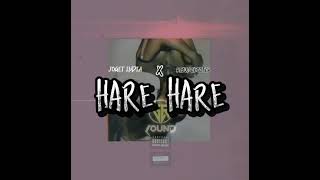 Download Lagu JOGET INDIA -  HARE HARE X RC BEAT X GOGER SS 2025 MP3