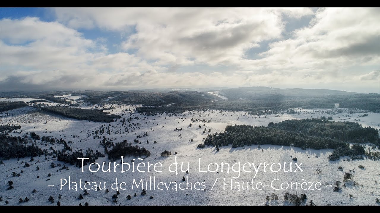 FCP [Drone 4K] - La tourbière du Longeyroux (hiver / Lever du soleil)