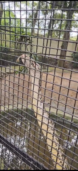 Python scary😳 #python #shorts - YouTube