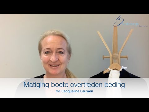 Vlog #30 Matiging boetes