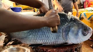 Admirable Big Katla Fish Cutting By Expert Fish Cutter - Fish Cutting Skills