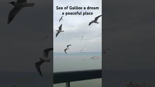 Sea of Galilee Israel 🇮🇱 Israel #fypシ #israel #galilee