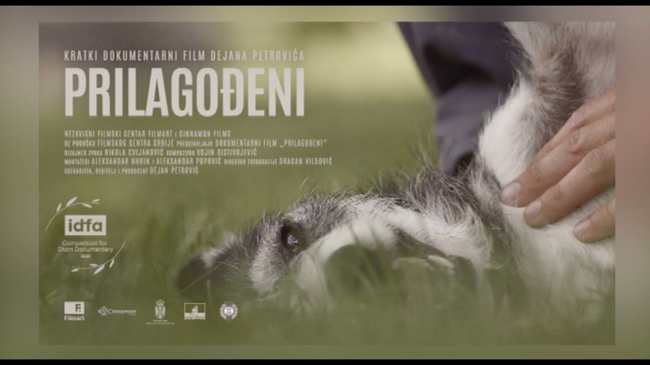 TV Telemark FILM PRILAGOĐENI NA IDFA FESTIVALU U AMSTERDAMU 05 11