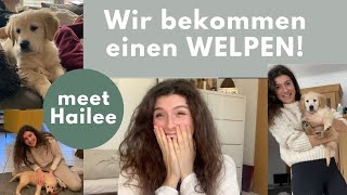 Wir bekommen einen WELPEN | Die erste Woche mit unserem Golden Retriever Baby Hailee | Puppy Vlog