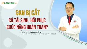 Gan Bị Cắt Có Tái Sinh, Hồi Phục Chức Năng Hoàn Toàn | ThS.BS.CK2 Trần Kinh Thành