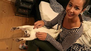 CUTEST KITTEN ON YOUTUBE EVER!!