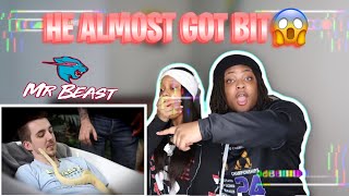 Reacting To MrBeast \\