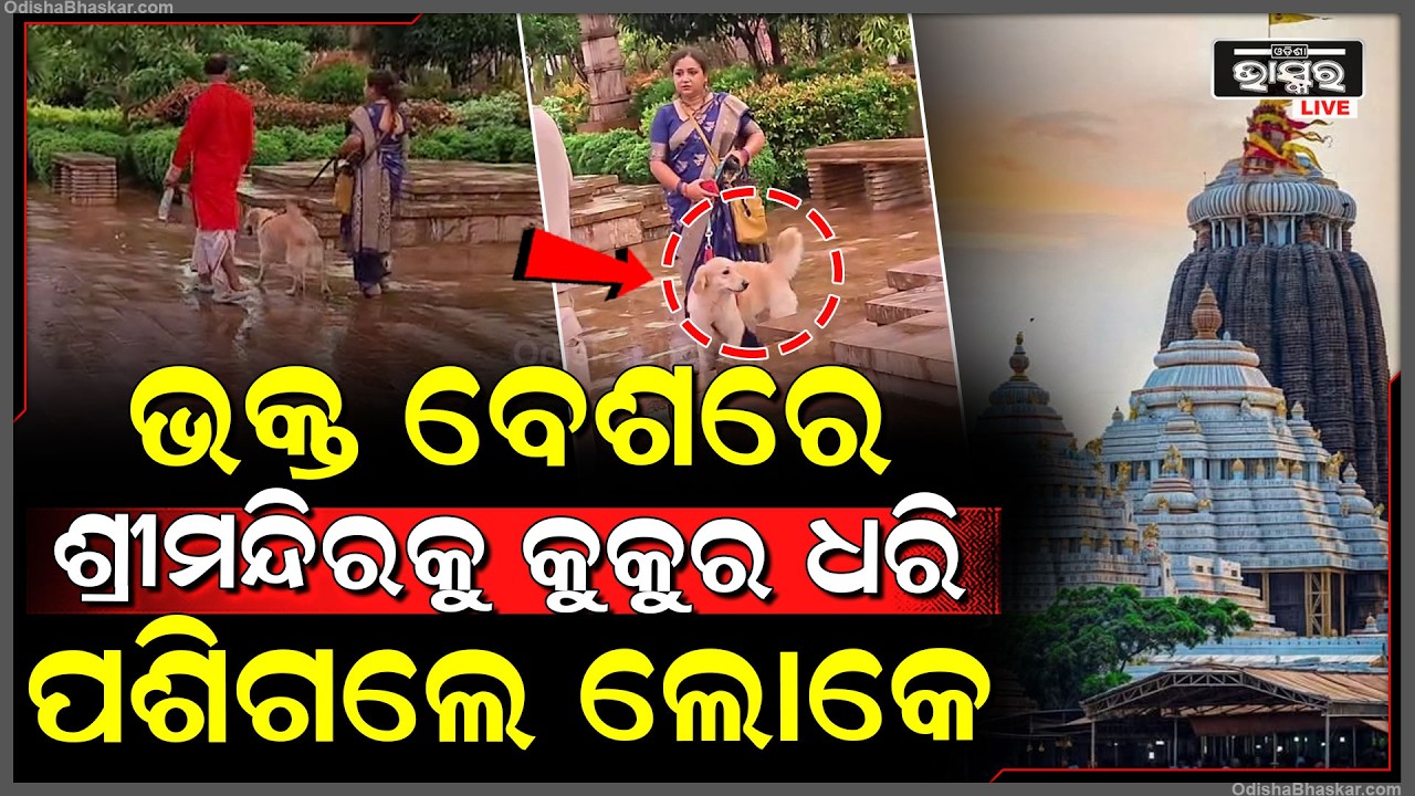 ଭିତର ପରିକ୍ରମା ମାର୍ଗରେ କୁକୁର ଧରି ବୁଲିଲେ ଶ୍ରଦ୍ଧାଳୁ, ବାହାର କଲା ପୋଲିସ...