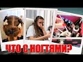 ВЛОГ: ИСПОРТИЛИ ногти в салоне УЖАС! Где КУПИТЬ БУМАГУ для ХУДОЖКИ?