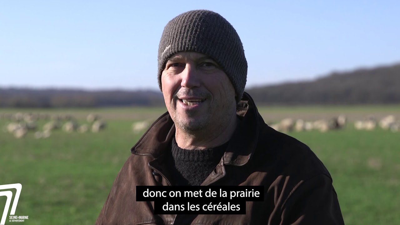 POSCIF : Pâturage Ovin en Système Céréalier en Île-de-France