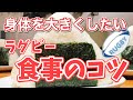 【増量】身体を大きくする食事３つのポイント~ラグビー編~【アスリート/rugby】