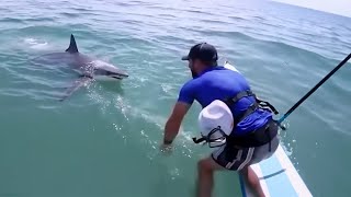 One of The Worst Tiger Shark Attacks!