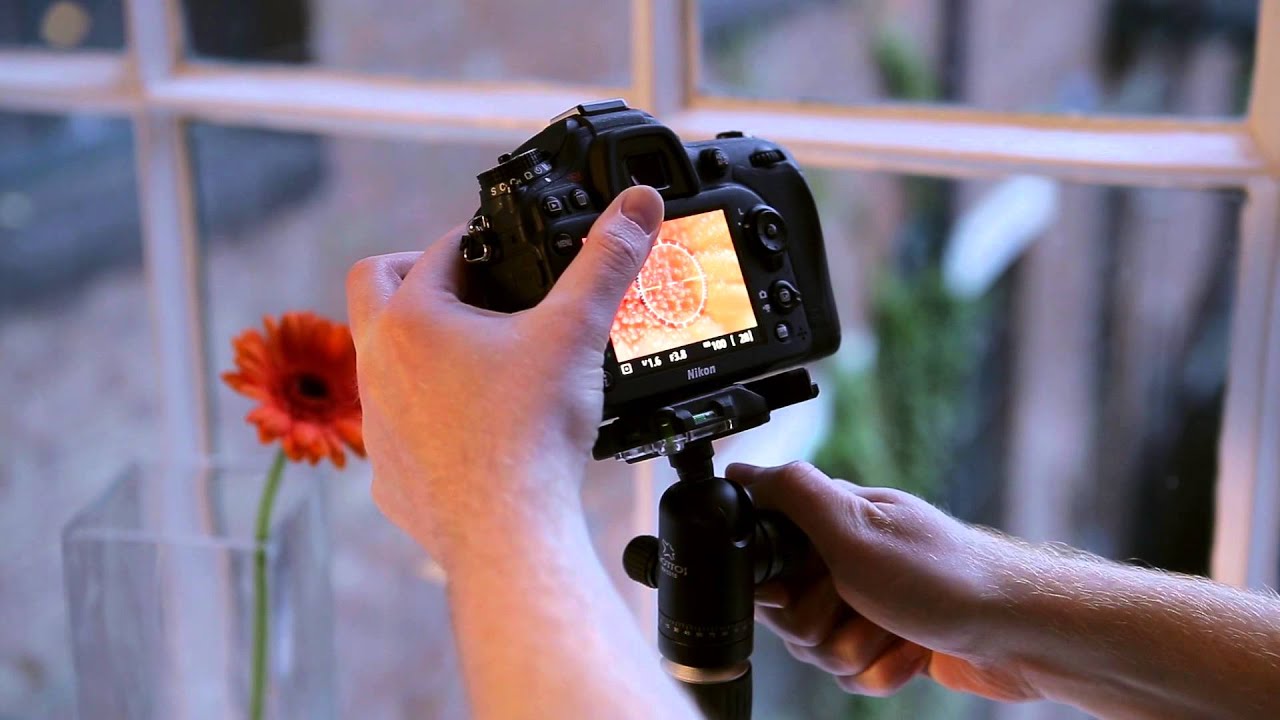 What is the best option for taking a macro photography