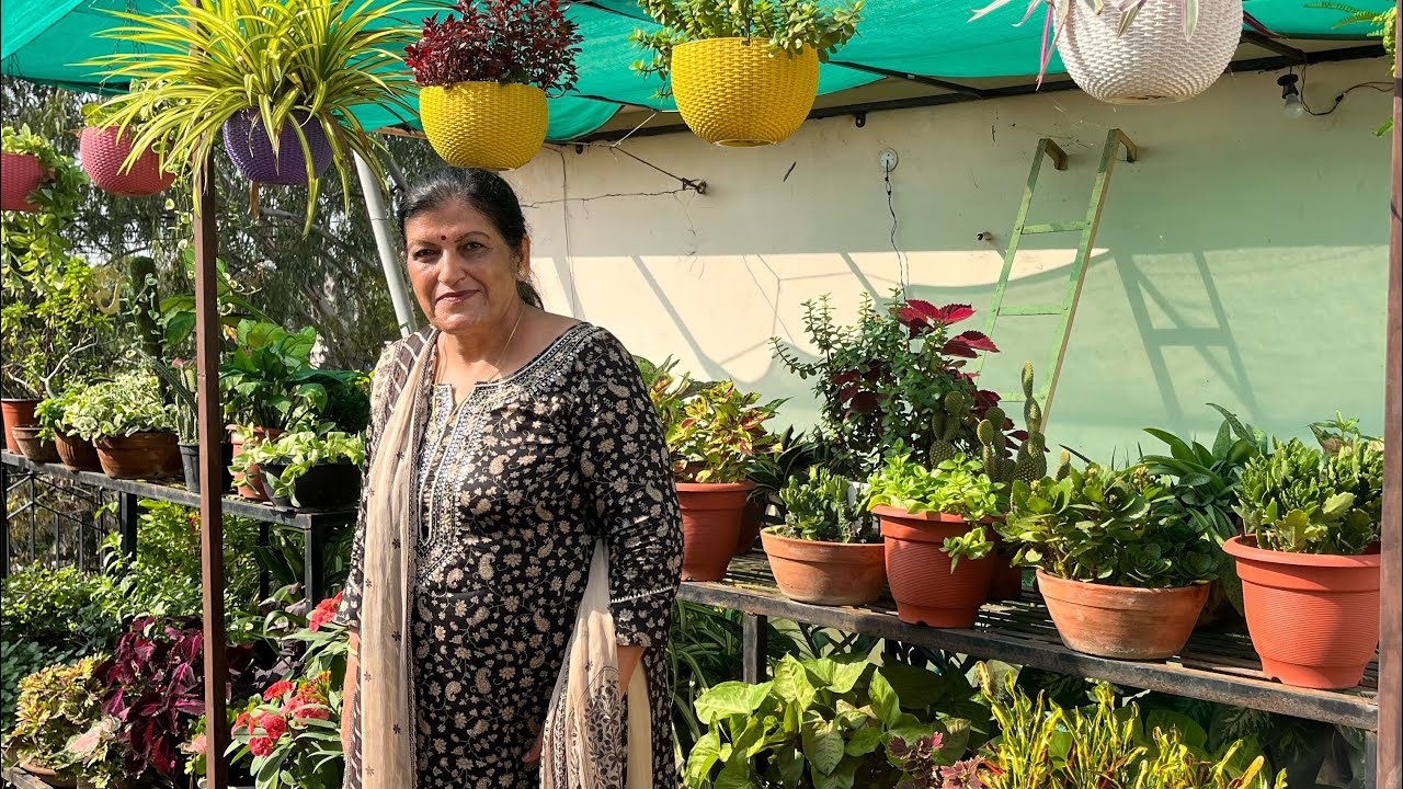 कोटा की रिटायर्ड बैंकर की बगिया आपका मन मोह लेगी 🪴 Kota Series EP-03