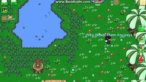 GraalOnline Classic 11 Shield Codes