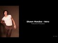 Shawn Mendes Intro Traduction Française mp3