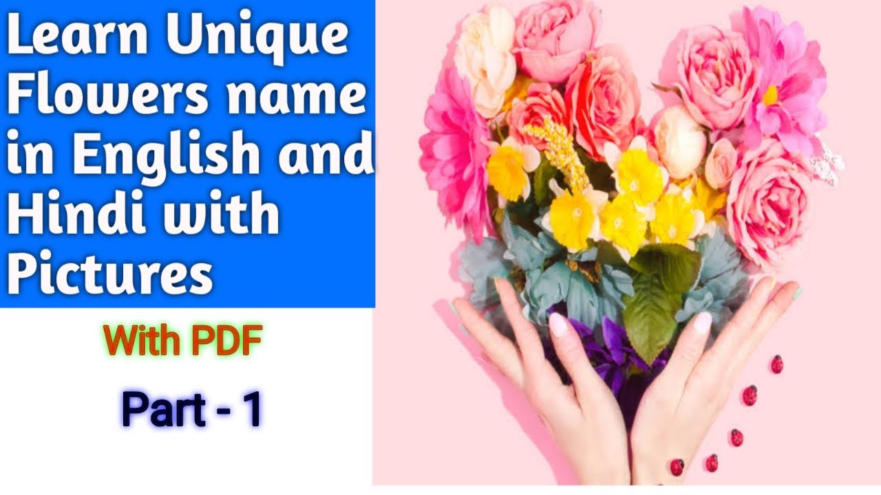 Flowers Name In English And Hindi With