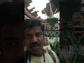 Gigantic Garden setup at Mall of Qatar