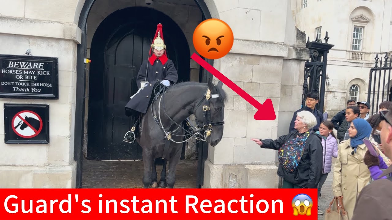 Embarrassing Moment! Lady Tries to Touch the Guard’s Horse and Gets Scolded