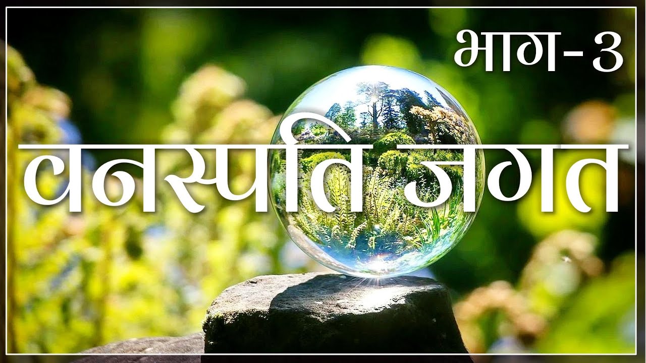 वनस्पति जगत (भाग-३) TH 366