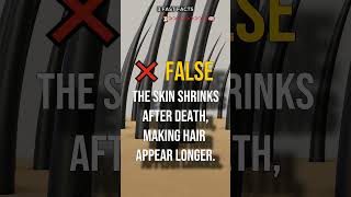 Your favorite facts are probably wrong #facts #mindblown #shorts