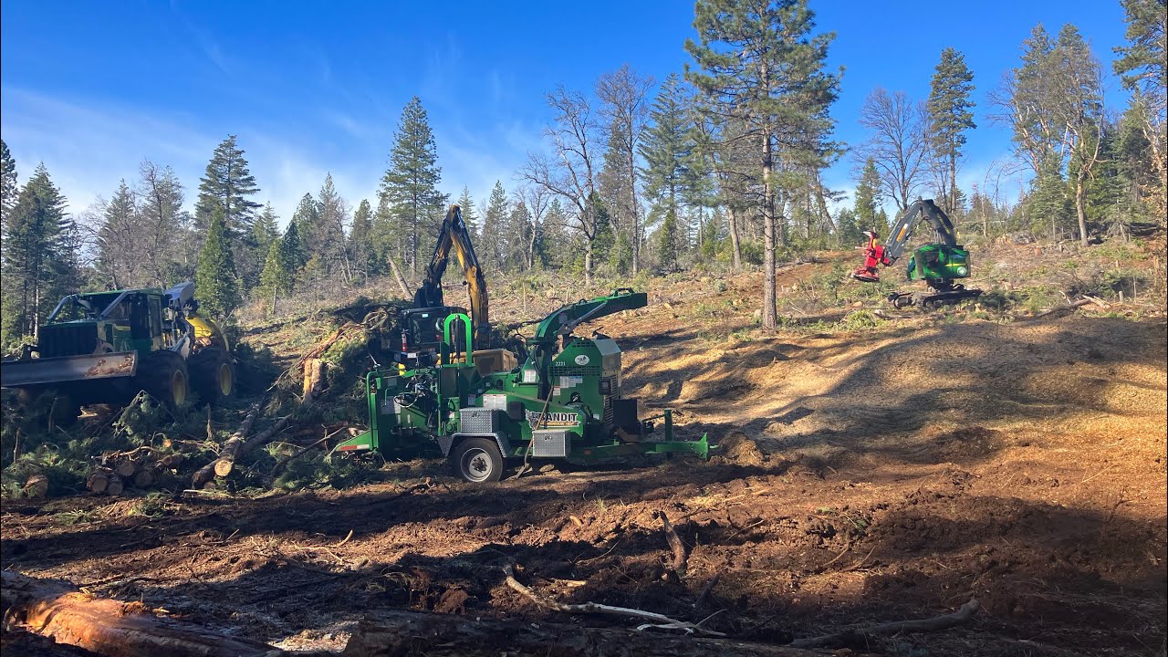 Chipper Logging Around the log site-chipper side - YouTube