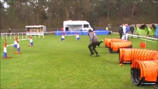 Djin Agility Valkenswaard 11.04.2015