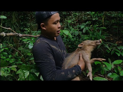 Video: Berburu Babi Hutan Di Musim Dingin: Fitur