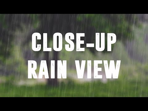 Video: Kankunda Yağış Yağanda Ediləcək Şeylər