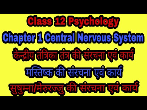 Class 12 Psychology Chapter 1 in Hindi | CNS in Hindi | Brain and Spinal cord | Psycho Gyan | Part 3