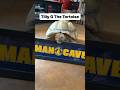 Tilly g the tortoise moves into the man cave to wait out hurricane hilary tortoise hurricane